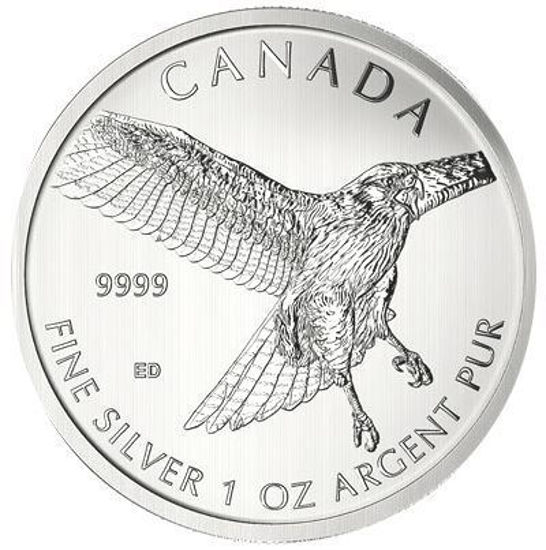 Picture of Kanada Birds of Prey 2015 “Red-Tailed Hawk”, 1 oz Silber