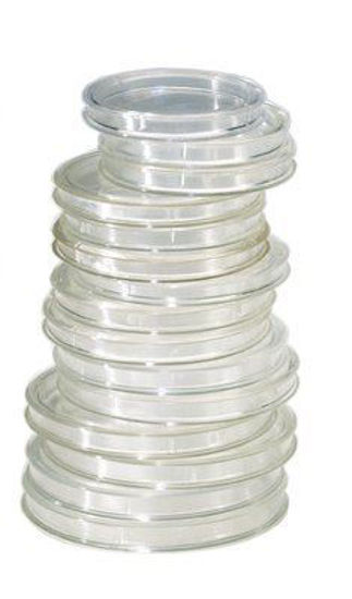 Picture of Lindner coin capsule, diameter of your choice from 14 mm to 50 mm (1 piece)