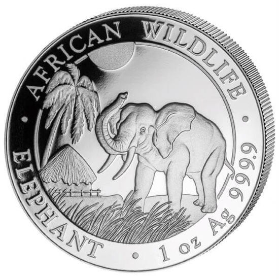 Imagen de Somalia Elephant 2017, 1 oz Plata