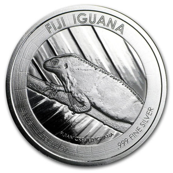 Bild von Fiji Iguana 2016, 1 oz Silber