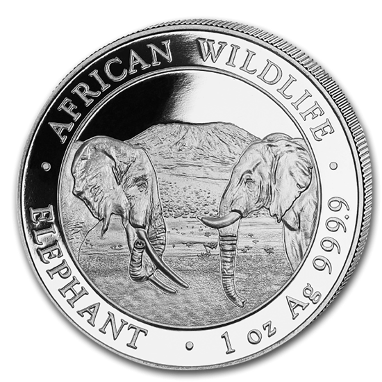 Imagen de Somalia Elephant 2020, 1 oz Plata