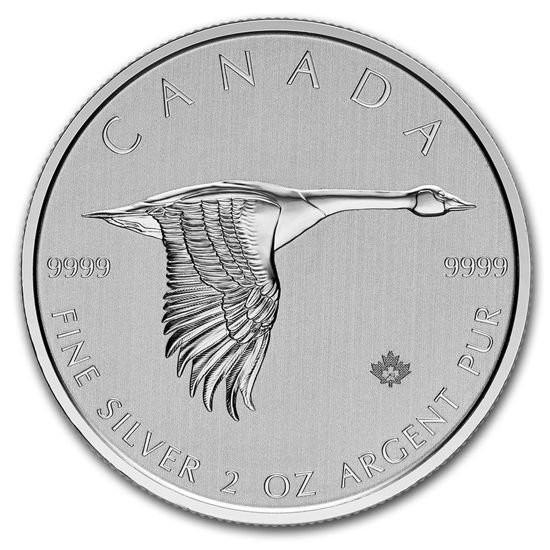Picture of Canada 2020 "Goose", 2 oz Silver