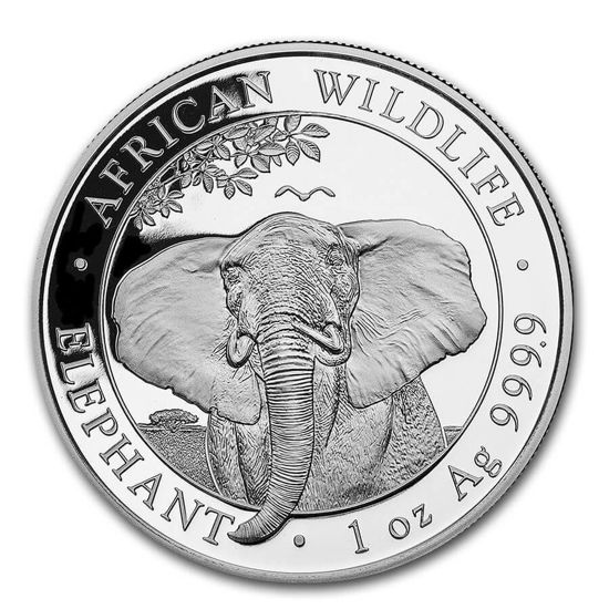 Picture of Somalia Elephant 2021, 1 oz Silver