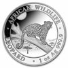 Picture of Somalia Leopard 2021, 1 oz Silver