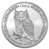Imagen de Tokelau 2021 Owls: Northern Pygmy Owl, 1 oz Plata