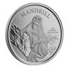 Bild von Kamerun 2021 "Mandrill", 1 oz Silber
