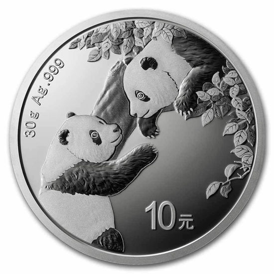Bild von China Panda 2023, 30 g Silber