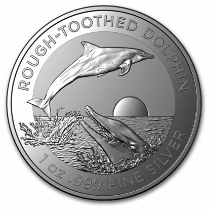 Picture of Australia Dolphin 2023 "Rough-Toothed Dolphin", 1 oz Silver
