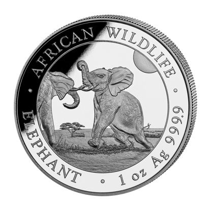 Imagen de Somalia Elephant 2024, 1 oz Plata