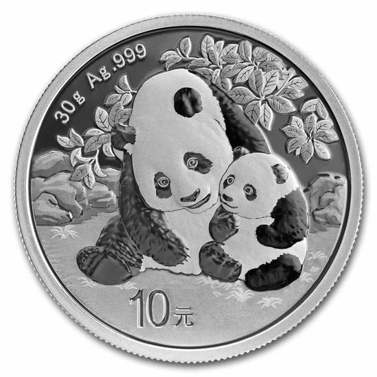 Picture of China Panda 2024, 30 g Silver
