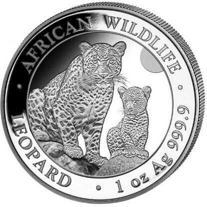 Bild von Somalia Leopard 2024, 1 oz Silber